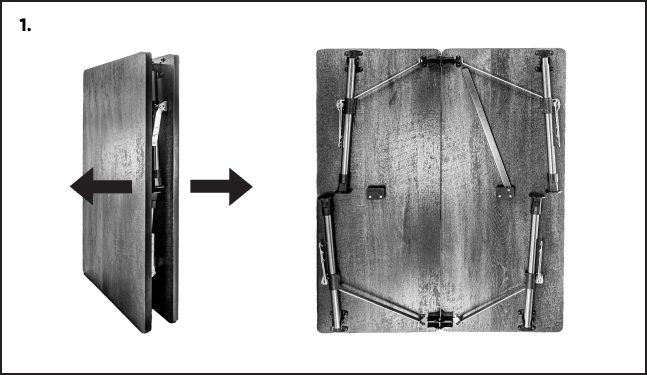 A picture of an old photo with the same image.